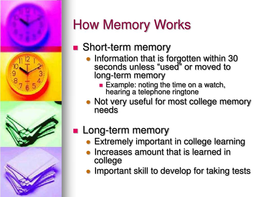 PPT - Improving your Memory PowerPoint Presentation, free download -  ID:748791