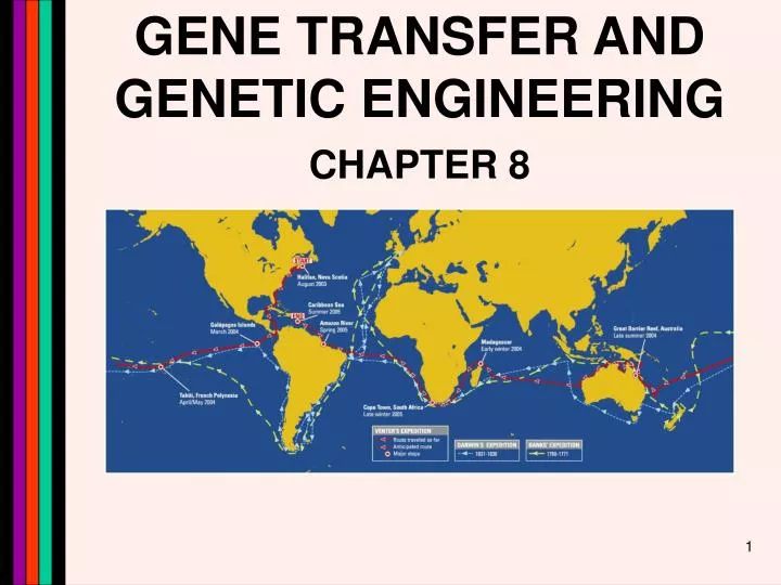 gene transfer and genetic engineering n.
