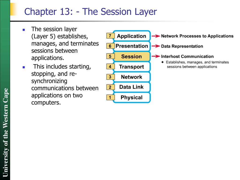 presentation and session layer