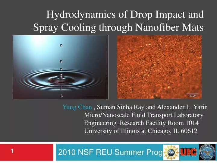 PPT 2010 NSF REU Summer Program PowerPoint Presentation, free