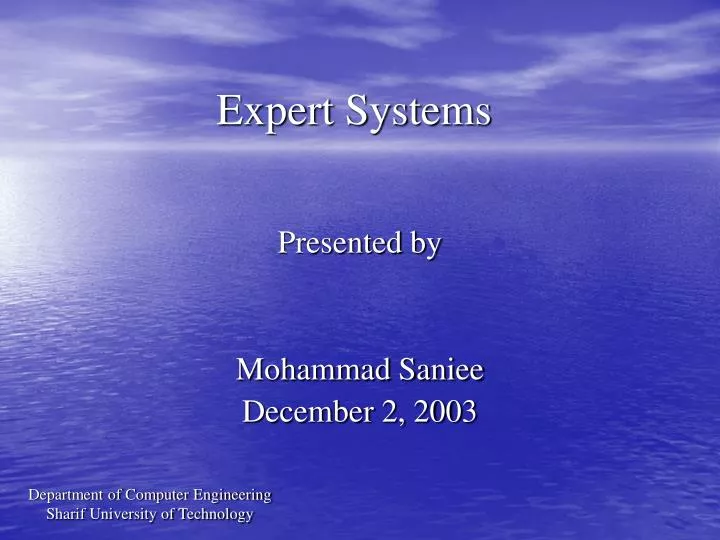 expert systems n.