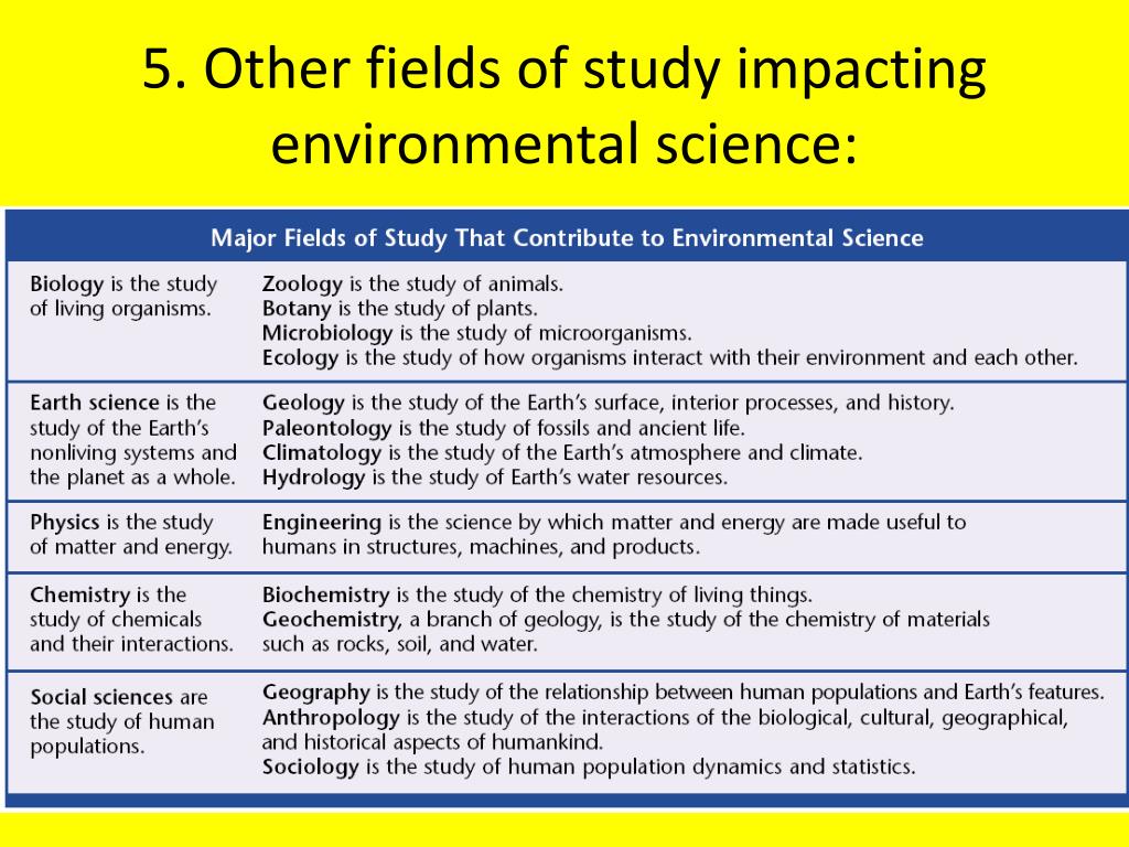 importance of research in environmental studies