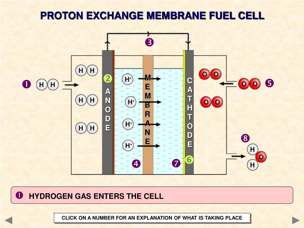Proton Exchange Membrane Fuel Cells Equations At Noble Paige Blog