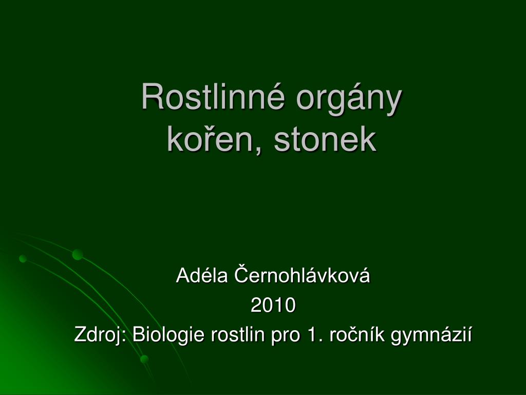 PPT - Rostlinné orgány kořen, stonek PowerPoint Presentation, free download  - ID:753646