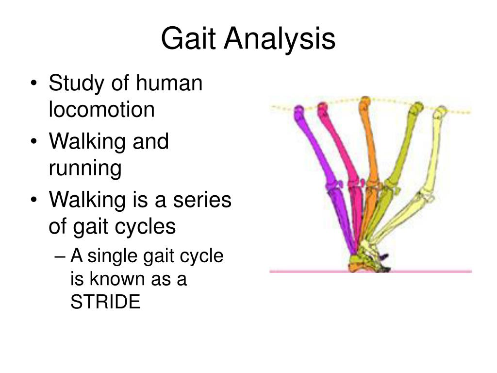 gait analysis thesis title