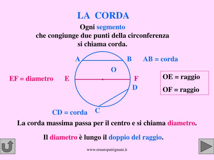 Cerchio Di Giotto Dove Si Trova