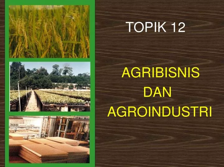 Ppt Agribisnis Powerpoint Presentation Free Download Id754737 