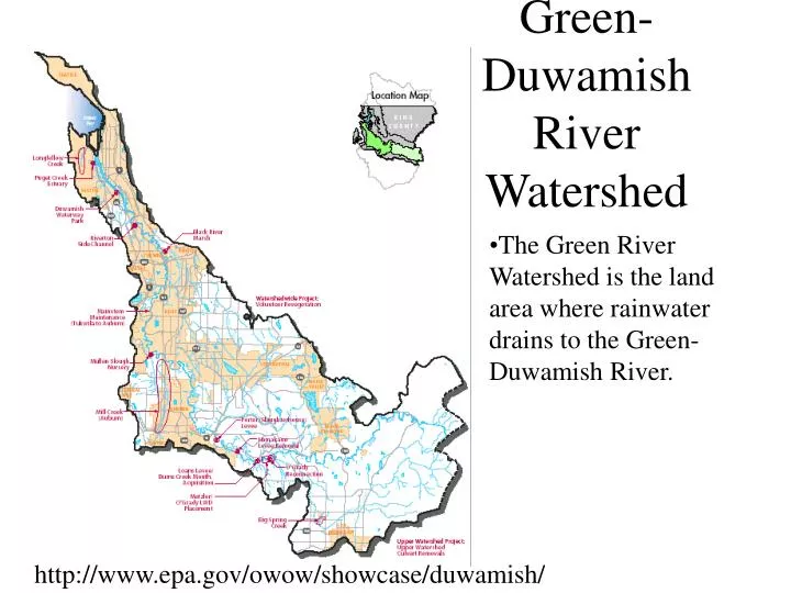 green duwamish river watershed n.
