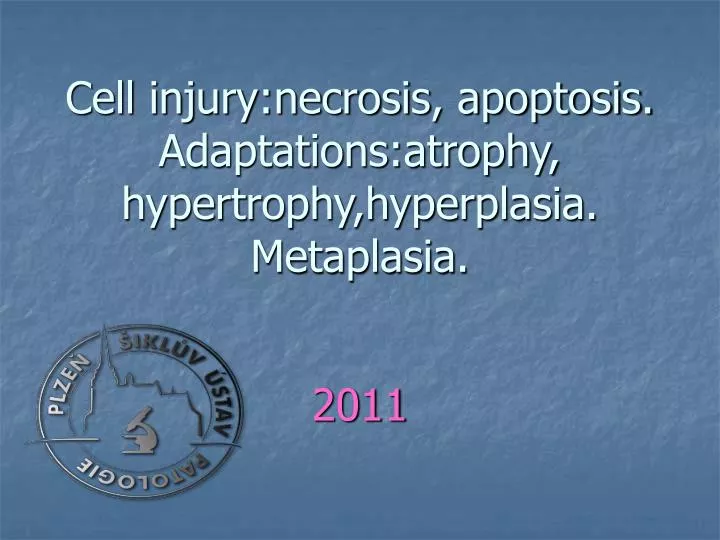 cell injury necrosis apoptosis adaptations atrophy hypertrophy hyperplasia metaplasia n.