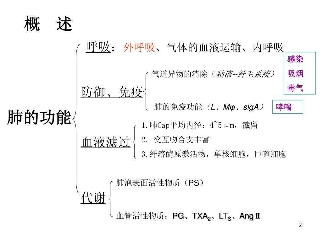 Ppt 第15 章肺功能不全powerpoint Presentation Free Download Id