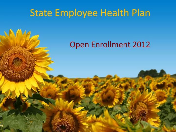 PPT State Employee Health Plan PowerPoint Presentation, free download
