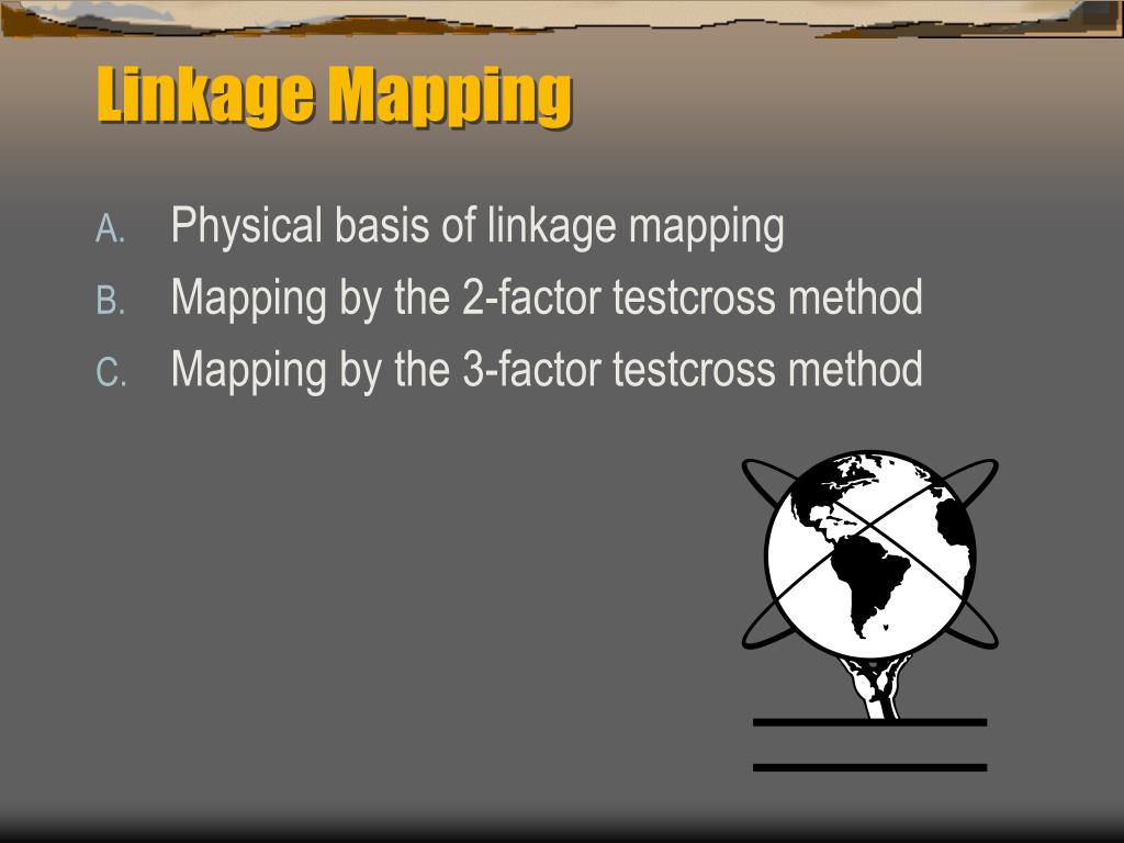 PPT Linkage Mapping PowerPoint Presentation, free download ID759020