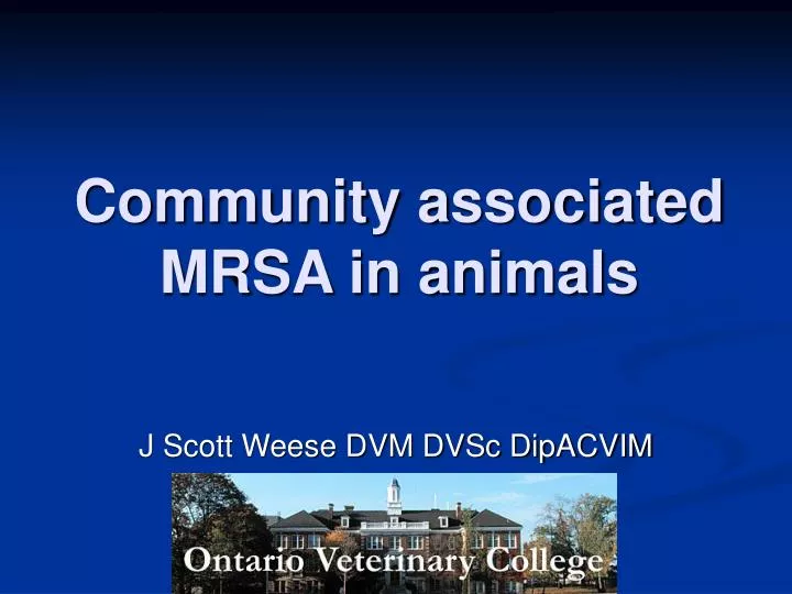 community associated mrsa in animals n.