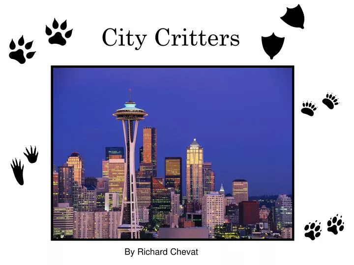 city critters n.