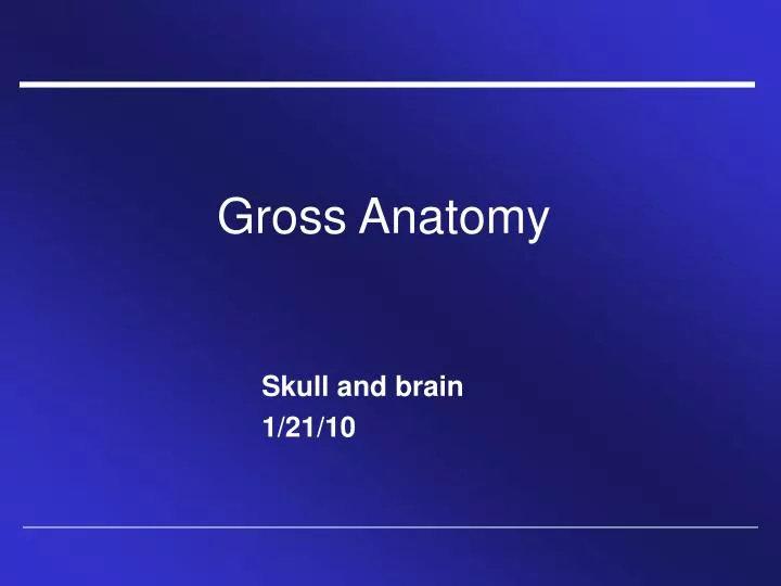 PPT Gross Anatomy PowerPoint Presentation, free download ID759407