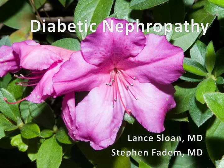 diabetic nephropathy n.