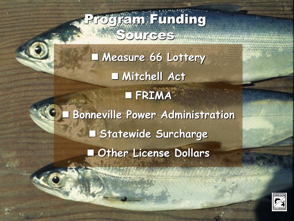 PPT ODFW Fish Screening and Passage Program PowerPoint Presentation