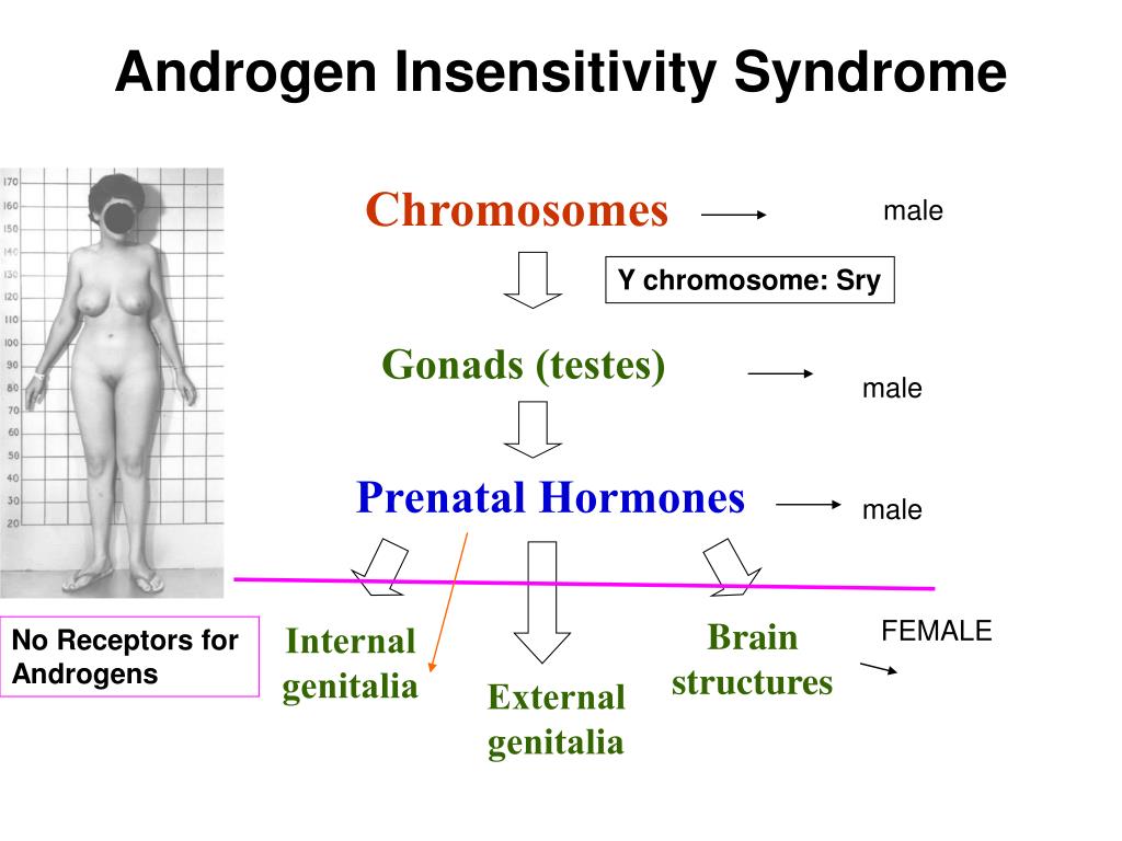 Androgen Insensitivity Syndrome.
