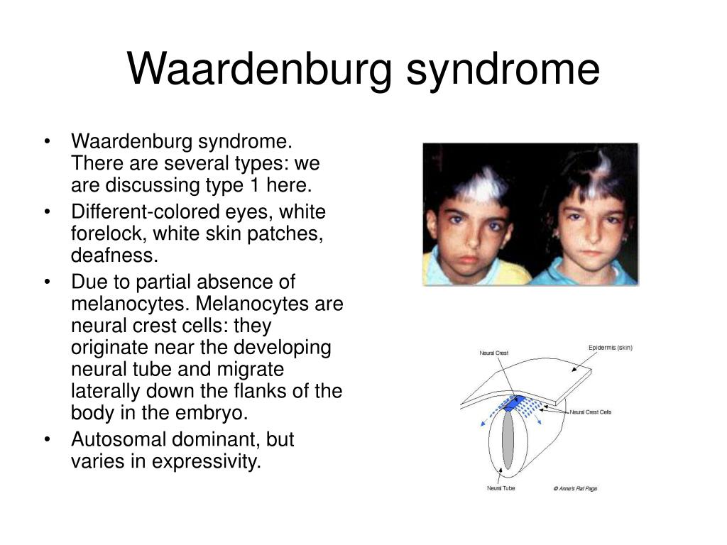 Ppt - Finding Disease Genes Powerpoint Presentation, Free Download - Id 