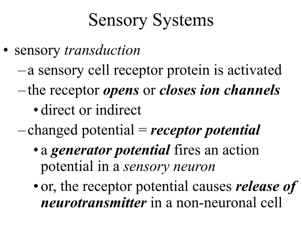 Ppt Sensory Systems Powerpoint Presentation Free Download Id761520