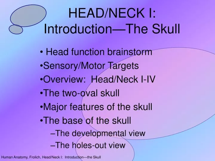 head neck i introduction the skull n.