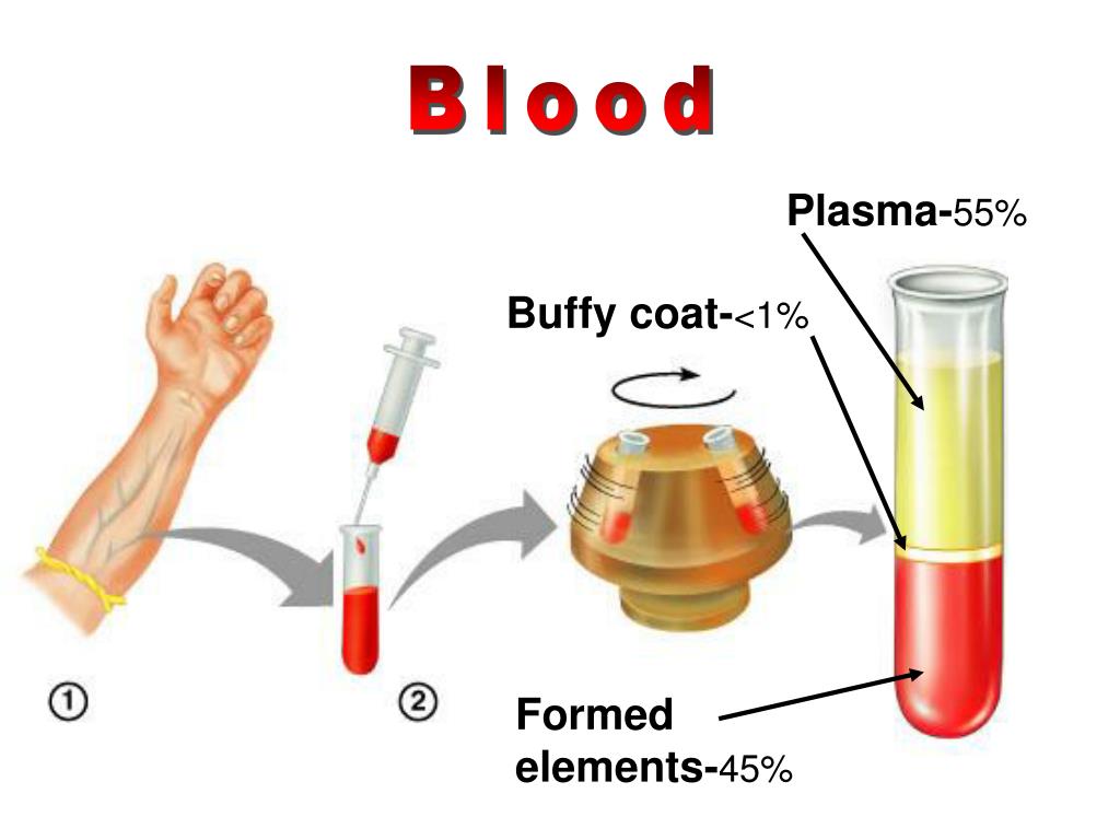 Кровь без плазмы. Плазма крови. Кровь плазма крови. Сыворотка крови. Плазма и сыворотка крови пробирки.