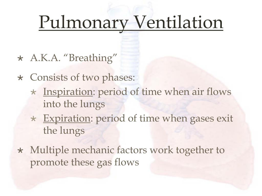 PPT - Respiratory Physiology PowerPoint Presentation, free download