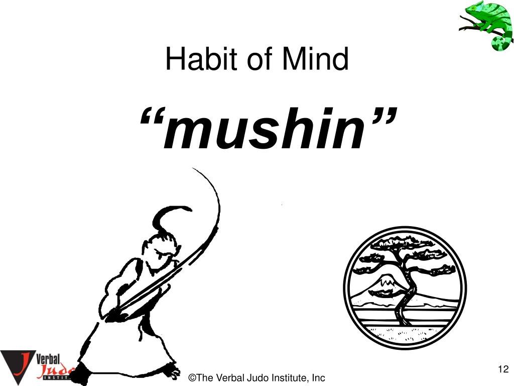 habits of mind institute
