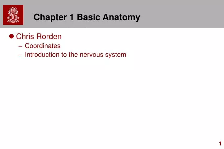 chapter 1 basic anatomy n.