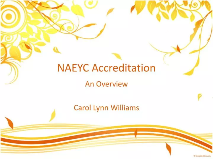 naeyc accreditation n.