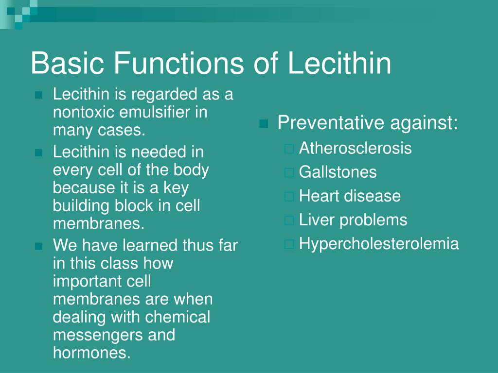 PPT Lecithin’s Role in Reducing Cholesterol PowerPoint Presentation