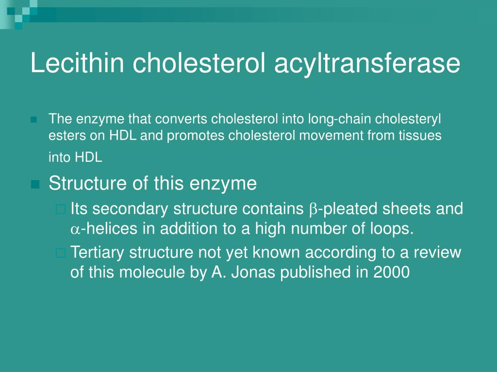PPT Lecithin’s Role in Reducing Cholesterol PowerPoint Presentation