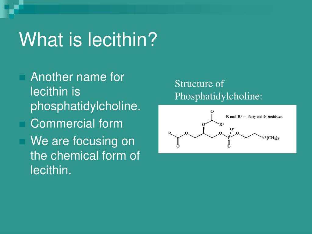 PPT Lecithin’s Role in Reducing Cholesterol PowerPoint Presentation