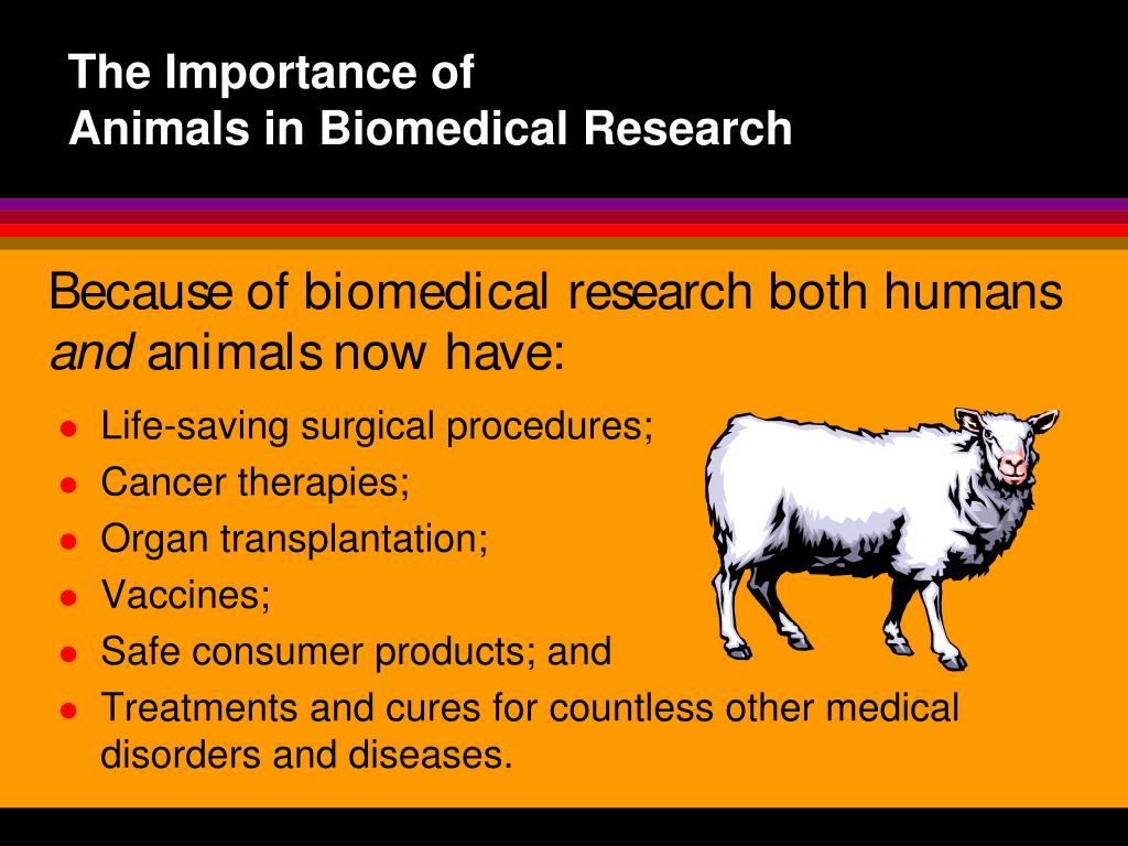 biomedical research animals used