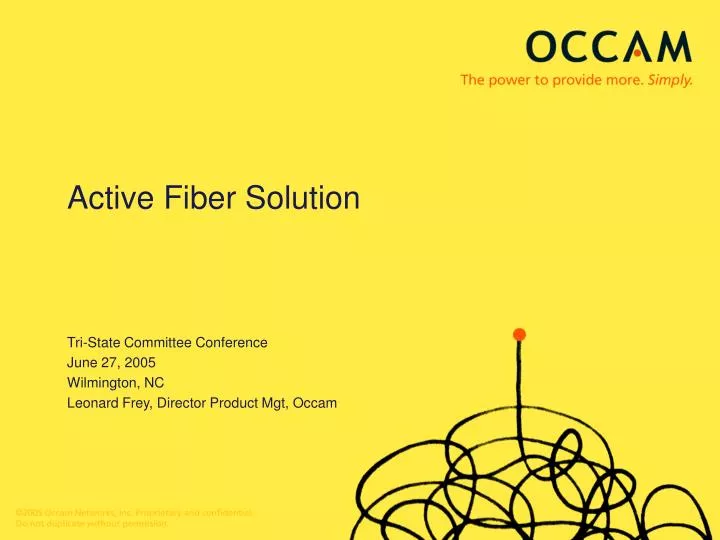 active fiber solution n.
