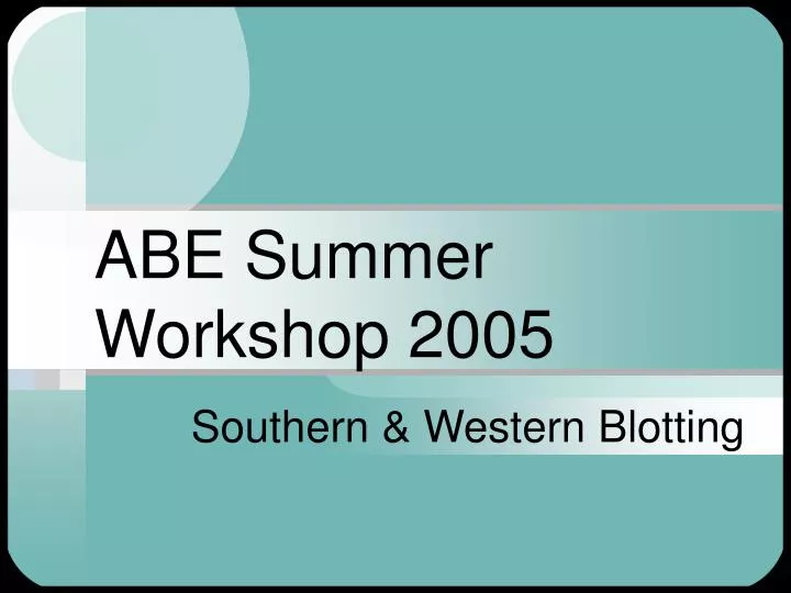 abe summer workshop 2005 n.