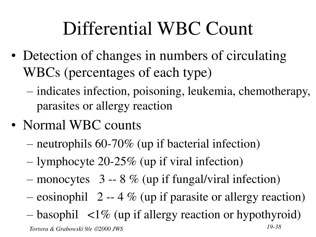 PPT Chapter 19 The Cardiovascular System The Blood PowerPoint