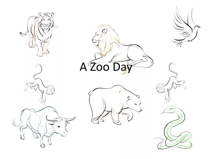 a zoo day n.