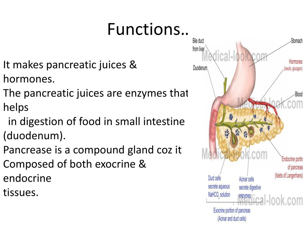 what is the purposes of a pancreatic juice