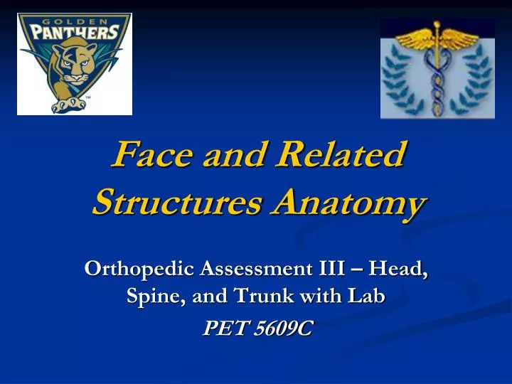 PPT Face and Related Structures Anatomy PowerPoint Presentation, free