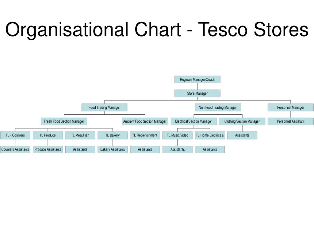 Hierarchy Chart Free