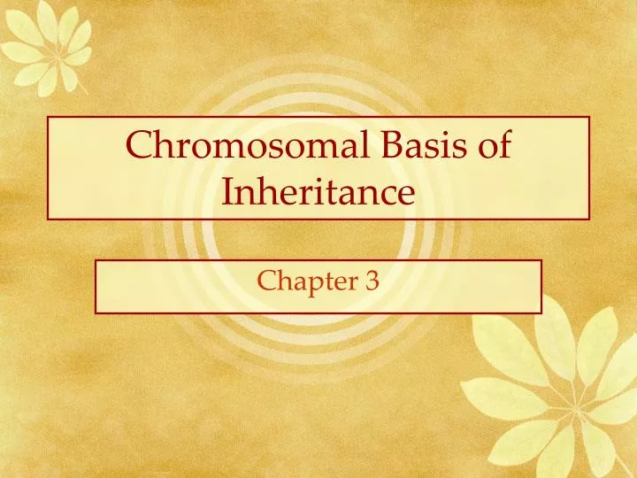 chromosomal basis of inheritance n.