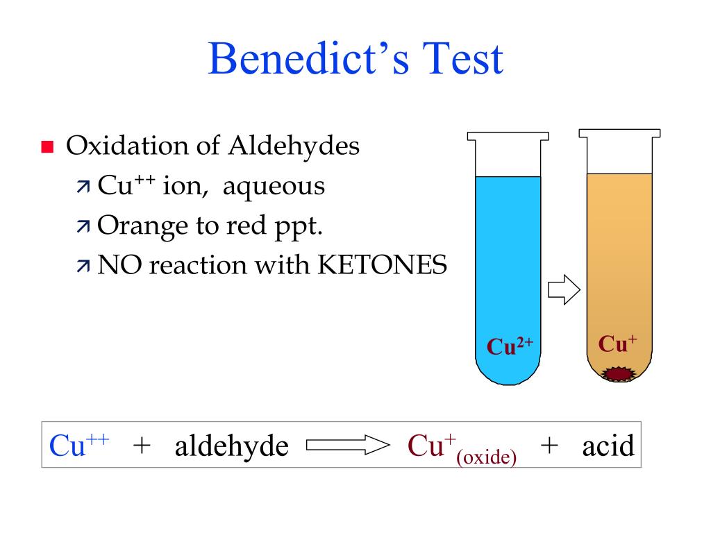 Student in 2.0: Test For Aldehydes