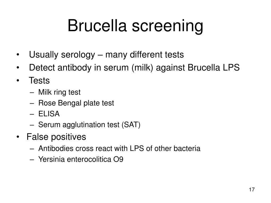 brucella screening l