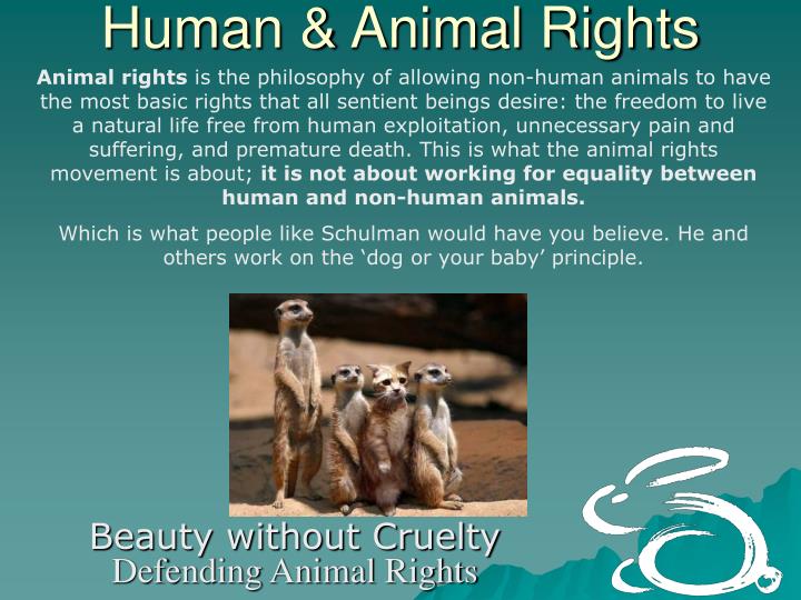 human and animal rights The power of the movement for animal rights”a movement that until recently was located for . human and animal rights The power of the movement for animal rights”a movement that until recently was located for .