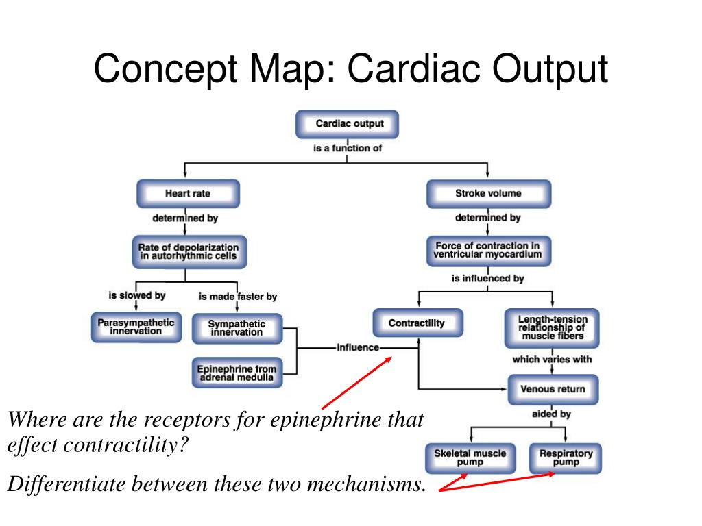 map cardiac output        <h3 class=