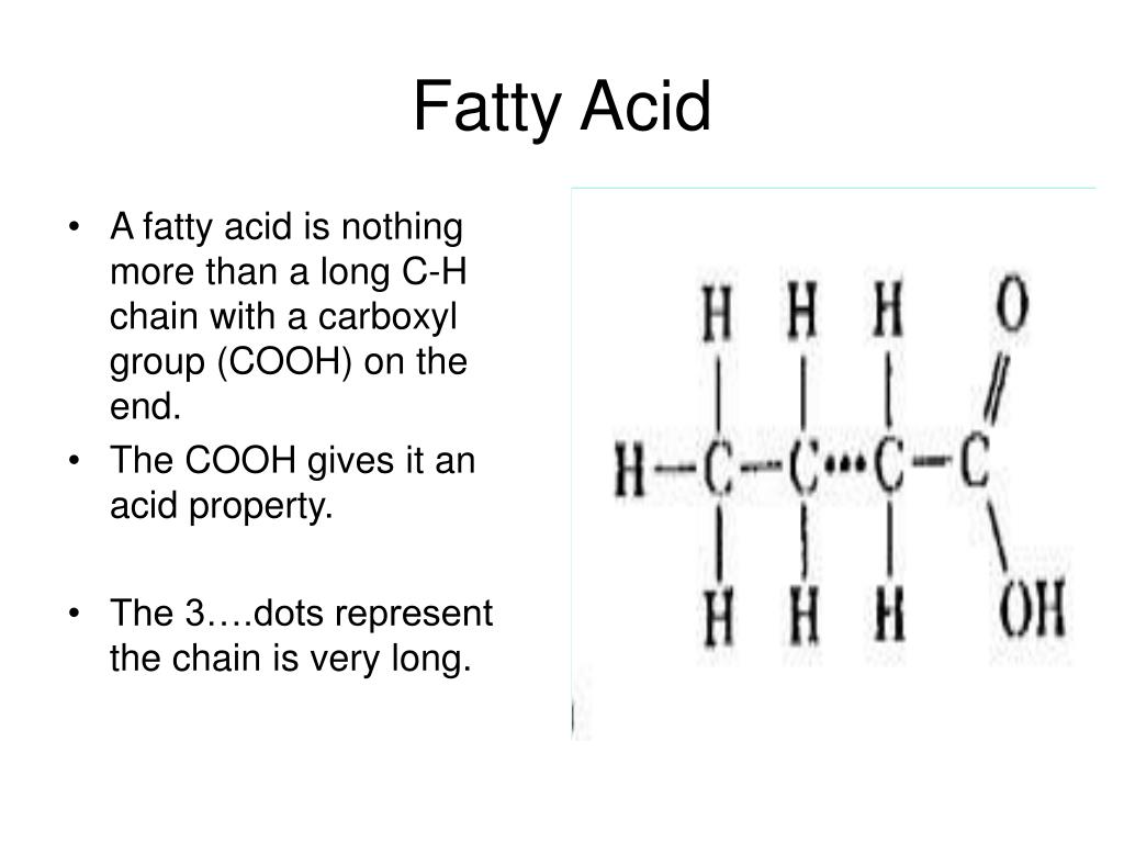 PPT Fatty Acid PowerPoint Presentation, free download ID788666