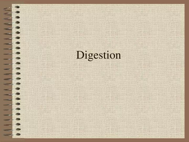 digestion n.