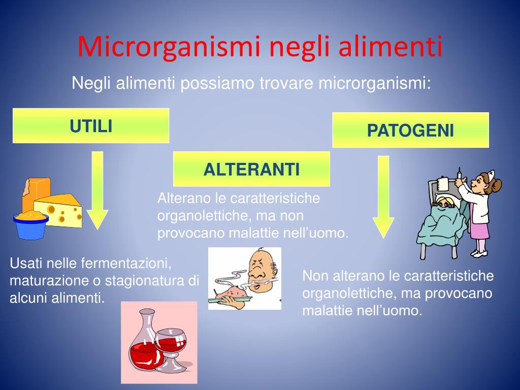 PPT - La flora microbica degli alimenti PowerPoint Presentation, free  download - ID:790670