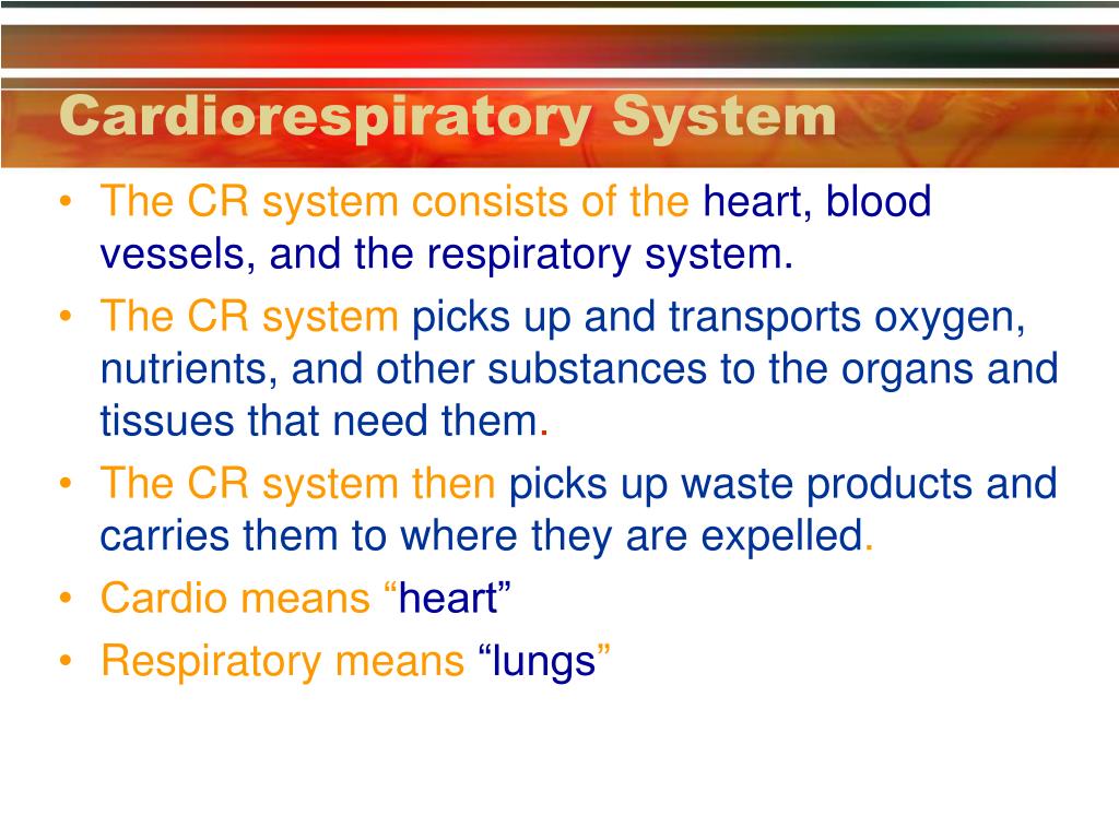 Cardiorespiratory Cash pdf free download Cardiorespiratory Cash pdf free download